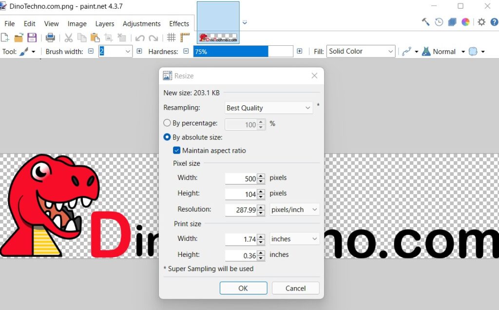 How to resize photos using Paint.NET