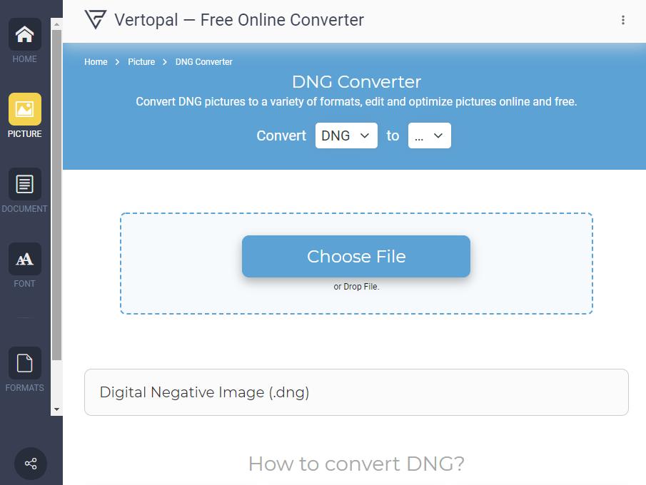 Vertopal Online DNG Converter